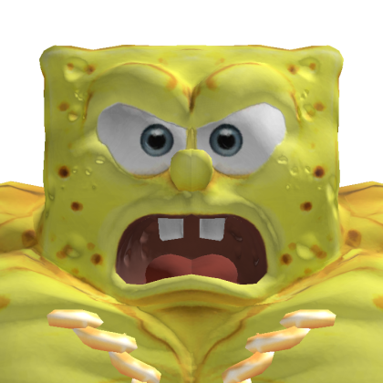 Zortue's Roblox avatar